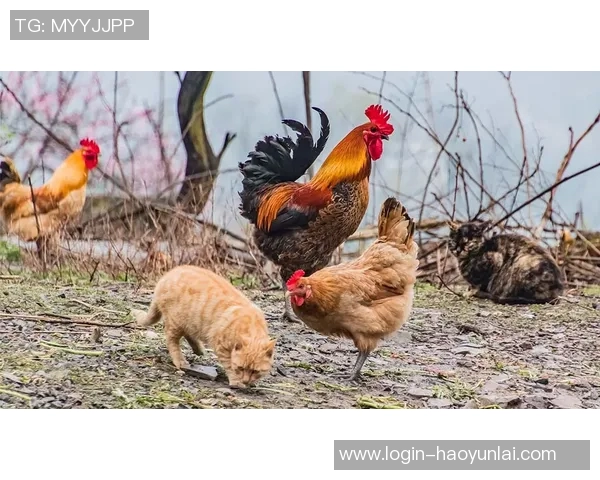 实时新闻王者荣耀热点分析深入探讨FPX战队的进攻策略与战术布局